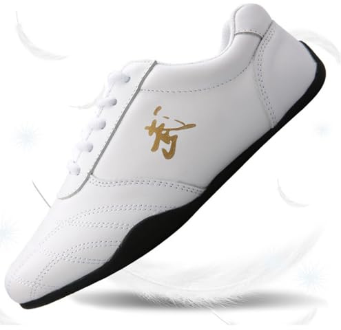 Tai chi Shoes for Women Non slip Leather Breathable Kung Fu Shoes Chinese Traditional Martial Arts Shoe for Men Outdoor Indoor Soft a Taekwondo Karate Training Sneakers(Size:46EU/280mm,Color:WHITE)