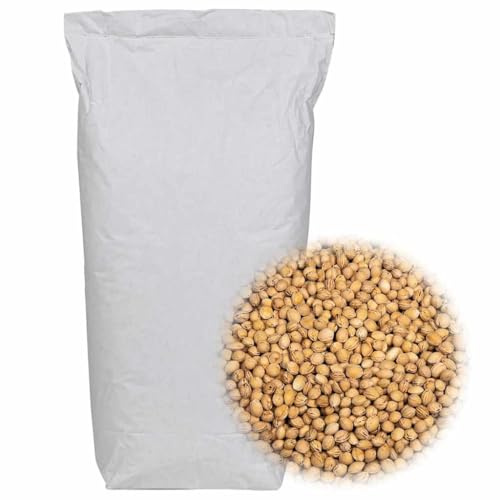 Generico Noccioli di Ciliegia per Cuscino Termico 10 kg,Forme per Cuscini