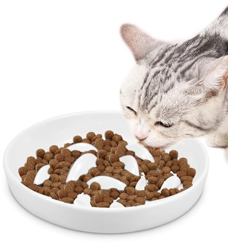 Anti Schling Napf Keramik,Katzennapf mit langsamem Futter,erhöhter Rand,Fischform Futternapf für Haustiere,Anti-Erbrechen Futternapf,mühelos zu reinigen,Futternapf für Katzen und kleine Hunde (Weiß)