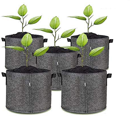5X Pflanztasche Pflanzsack Pflanzbeutel mit Henkeln Vliesstoff Blumentopf in Grau (20x20cm 6L, Grau)