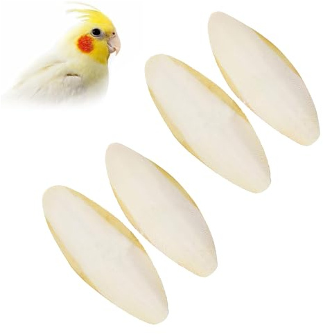 Comioke Sepiaschale Tintenfisch Sepia Knochen Kauspielzeug, Sepiaschalen Vögel Kauen Spielzeug Papageien Kauspielzeug Tintenfische Sepia Knochen für Schildkröten Vögel Schnecken,11-13cm
