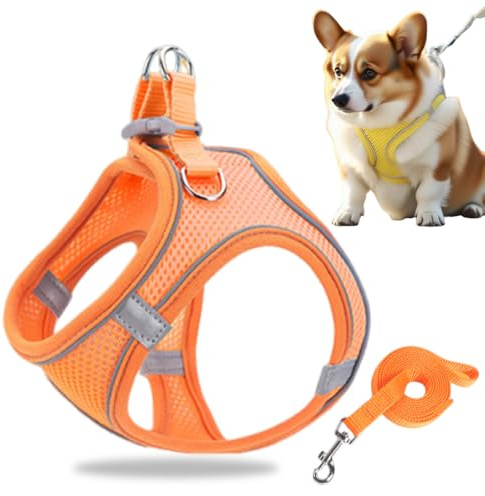 Hundegeschirr Kleine Hunde, Welpengeschirr Step-in Geschirr aus Air Mesh, Anti Zug Reflektierend Atmungsaktiv Brustgeschirr, Hundegeschirr Welpen, Katzengeschirr Brustgeschirr Hund (Orange, XS)