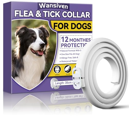 Wansiven Collar Antipulgas para Perros, Collar Antiparasitario e Impermeable de 65cm para Perros, 12 Meses Eficaz para Repeler Pulgas y Garrapatas Durante, Apto para Perros Pequeños