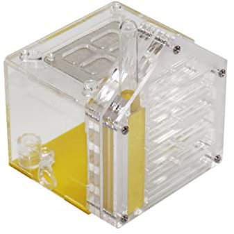 BESTonZON Ameisenfarm Aus Acryl Praktische Fütterungsbox Für Ameisen Mit Öffnendem Deckel Für Artgerechte Haltung Für Zucht Und Pflege Von Ameisen