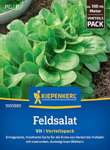 Kiepenkerl Feldsalatsamen Vit 1005980 - Ertragreiche frostharte Salatsamen mit ovalrunden, dunkelgrünen Blättern und einem Inhalt für 100 lfd. Meter - Saatgut