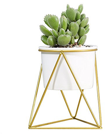 Ganeep Plantador de macetas de cerámica de Planta pequeña de Escritorio Blanco Moderno con portatarjetas de Hierro geométrico Amarillo para Cactus de Hierbas de Plantas suculentas (Color : Gold)