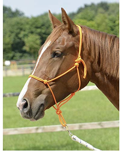 Knotenhalfter SMOOTH II