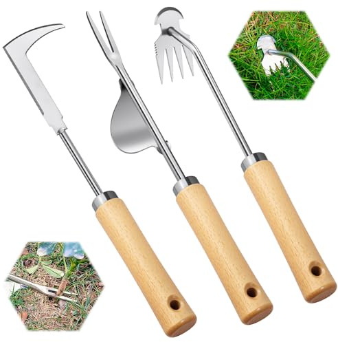 BOOLOOEN 3Pack Outil d'arrachage de Mauvaises Herbes, pavé de désherbage Manuel, désherbeur de Fissures, Outil de désherbage de crevasses en Acier Inoxydable