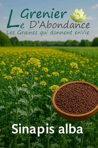 75 grammes à semer - Le Grenier d'Abondance - Moutarde blanche Bio - Sinapis Alba Bio