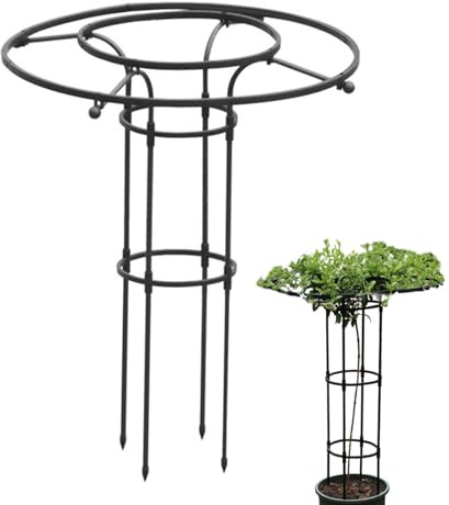 Rankhilfe Schirmform aus Metall, Stabiler Rankobelisk für Kletterrosen & Clematis, Wetterfestes Pflanzspalier Turm für Kletterpflanzen, Vertikales Rankgitter für Garten & Terrasse, Schwarz