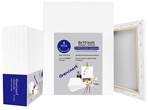 Genixart 20 x 25 cm/8 tum x 10 tum vit blank sträckt duk, paket med 6, grundade professionella konstnärsdukar för akryl- och oljemålningar