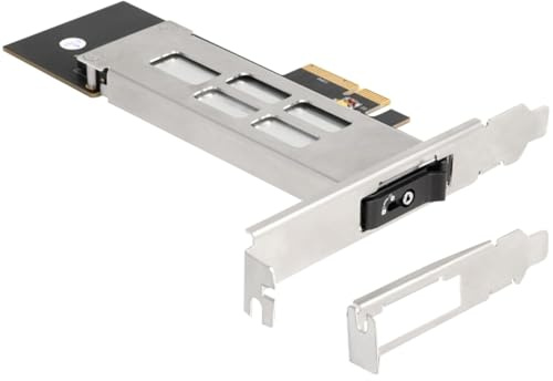 DeLOCK gränssnittskort utbytbar ram PCI Express kort för 1 x M.2 NMVe SSD