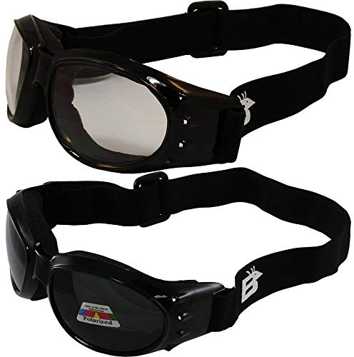 Birdz Eyewear Eagle Padded Motorcycle Safety Goggles 2 Pairs Black Frame w/Clear & Polarized Smoke Lenses, Day and Night Goggles