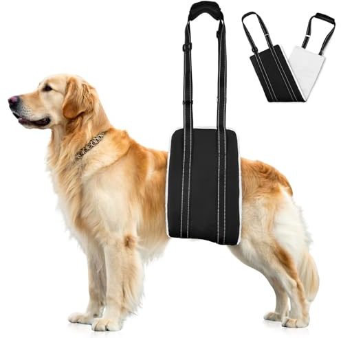 AOOHA Imbracatura per Cani Regolabile, Pettorina per Cani con Maniglia, Camminata Assistita, Cintura di Sostegno per Cane, Supporto per Cane Anziani e Disabili (XL)