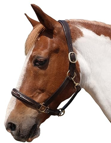 Brama West Cabestro de piel para caballo, diseño de verano indio con brillantes, tamaño completo