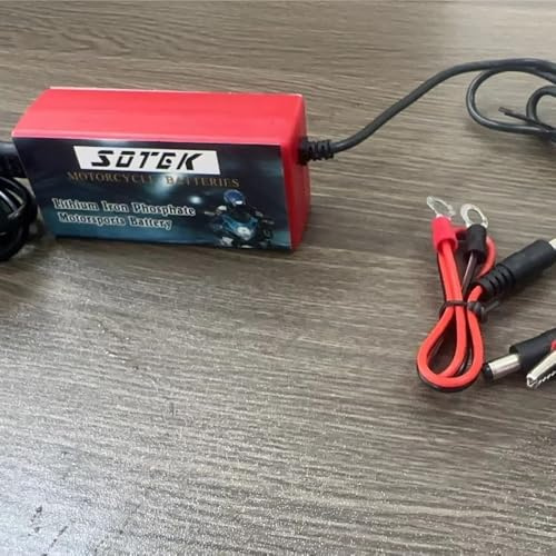 LiFePO4 lithium motorcycle starter battery 12V 6AH/9AH/12AH/14AH/18AH/24AH High capacity Built-in BMS Suitable for a variety of motorcycles High efficiency and durability(Battery charger)