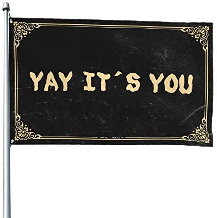 Drapeau de jardin drôle Yay It's You Flag affiches cool pour les gars décorations d'automne en plein air (taille : 60 x 90 cm)