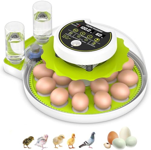 Favritt Egg Incubators for Hatching 18 Eggs, Digital Incubator with Temperature Control Water Filling Automatic Turning incubator, Home Incubator for Quail Chicken Duck Pigeon