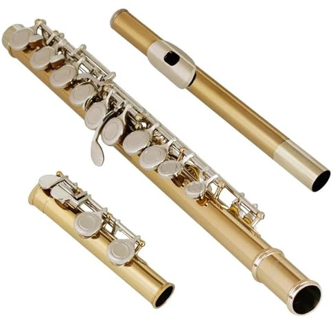 Flöte Für Anfänger 16 Geschlossene Offene Löcher C-Flöte Kupfernickel Versilbert Konzertflöteninstrument Transversal Mit E-Taste Box Handschuhe Stoff(Gold)