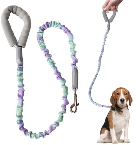 Guinzaglio per Cani 120 cm,Ammortizzatore per Cani,Guinzaglio Addestramento con Manici Imbottiti,Guinzaglio Elastico,Per cane di Taglia Piccola, Media e Grande Passeggiate, Jogging e Ciclismo