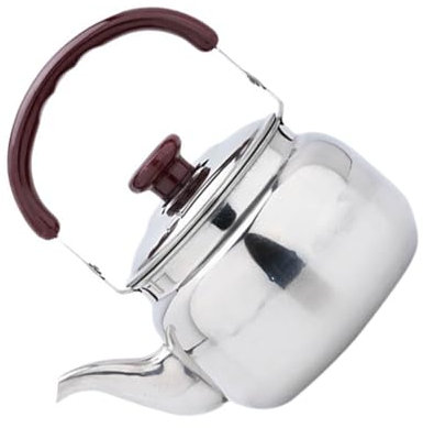 Didiseaon Bouilloire à Eau en Acier Inoxydable 500 Ml Poignée Anti-Chaleur Compatible Gaz Électrique Induction pour Bureau Camping Pique- et Préparation de Thé