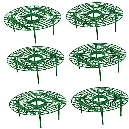 BESTonZON Support pour Plantes Grimpantes et Fraisiers Vert 6 Pièces, Cadre de Pergola de Jardin, Structure Légère en Plastique pour Culture Propre et Maintien des Fruits en Hauteur