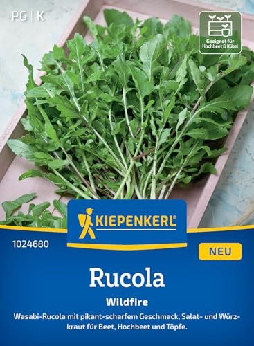 Kiepenkerl Rucolasamen Wildfire 1024680 - Scharfer Wasabi-Rucola mit pikant-scharfem Geschmack und Inhalt für 6 bis 8 lfd. Meter - Saatgut, Pflanzen