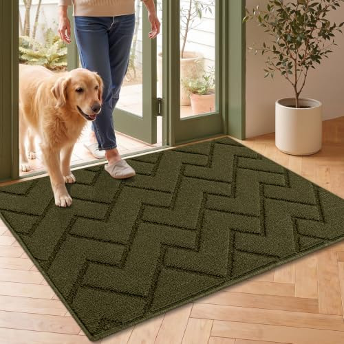 Biscpro Türmatte für Innen und Außen, 60 x 90 cm, rutschfest und saugfähig, waschbar, Teppich für Innenbereich, Außenbereich, Schlafzimmer, Küche, Eingang, Flur (Oliver Green)