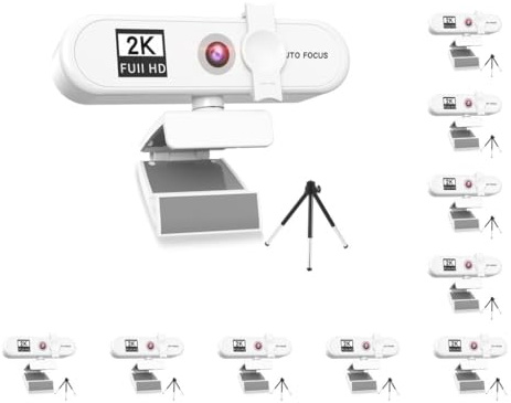 Mealoodiousmusea Juego de 10 cámaras web para computadora con enfoque automático HD USB en línea, cámara de PC ajustable con micrófono, cable de repuesto, videocámara web externa, color blanco 2K