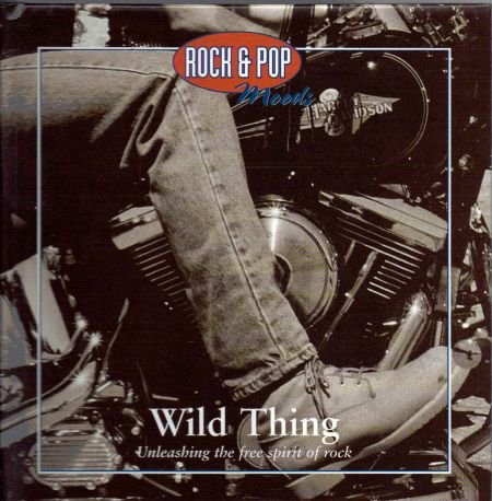 Rock & Pop Moods Wild Thing - Unleashing the free spirit of rock