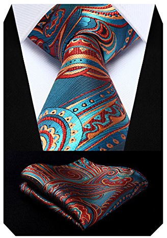 HISDERN Herren Krawatte Hochzeit Paisley Krawatten Taschentuch Blumen Elegant Klassisch Krawatte & Einstecktuch Set