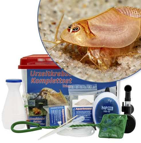 AQ4Aquaristik Triops longicaudatus (rot) Komplettset mit Urzeitkrebseiern: 6 l Aquarium, Zuchtansatz, Filter, Luftpumpe, Zubehör, Futter und Anleitung,
