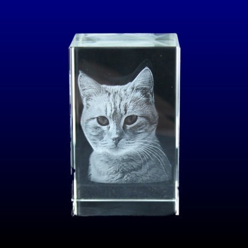 VIP-LASER 3D Glaskristall Größe XL graviert mit dem Foto Ihrer Katze