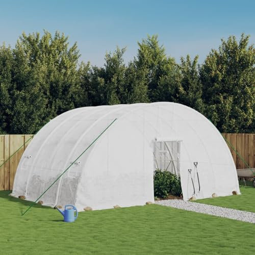 ARKEM Invernadero con Estructura de Acero Blanco 24 m² 6x4x2,85 m Invernadero Terraza