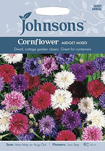 Johnsons 12460 Flower Seeds, Cornflower Midget Mixed