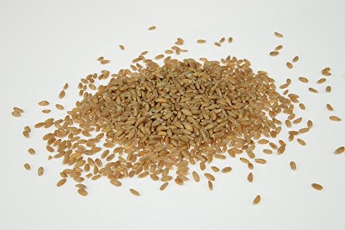 Hobbybäcker, Dinkelkörner spezial gereinigt (3 kg), Zum Mahlen und Backen, Auch als Füllung für Wärmekissen