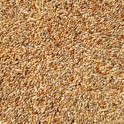 Supravit Wellensittichfutter Zucht 25 kg – hochwertige Zuchtmischung als Hauptfutter für Wellensittiche & kleine Sitticharten – Jungvogelfutter & Mauserfutter zur Förderung der Zucht