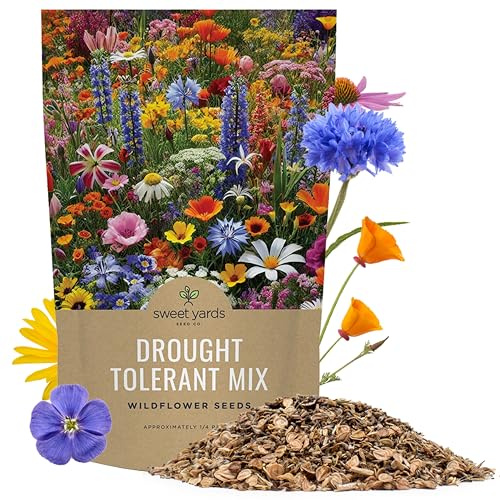 Drought Tolerant Wildflowers Mix – Bulk Quarter Pound Bag – Over 30,000 Open Pollinated Non-GMO Seeds – 21 Different Dryland Species