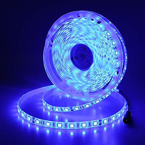 JOYLIT 24V Striscia LED Blu 5M 300LEDs SMD5050, Flessibile IP65 Impermeabile Luce Nastro Luminoso per Decorazione di armadio da cucina, Camera da letto