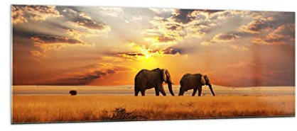 ARTTOR Glasbild 140x50cm Wandbild Glasdruck Landschaften Natur - 3150 | Elefanten Safari Dschungel Panorama Groß XXL Modern Dekoration Wohnzimmer Schlafzimmer Küche Wanddeko Kunstdruck Art ARTTOR