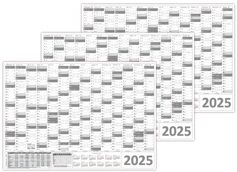 3 Stück Wandkalender/Wandplaner 2025 (grau) gerollt DIN A0 Format (841 x 1189 mm) 14 Monate, komplette Jahresvorschau Folgejahr und Ferientermine/Feiertage aller Bundesländer