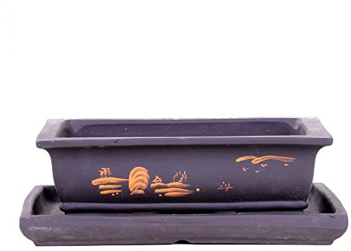 Bonsai - Schale + Untersetzer mit Motiv, 25 x 17 x 7,5 cm eckig 31087