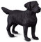 Collecta - Col88076 - Labrador Retriever - Größe M