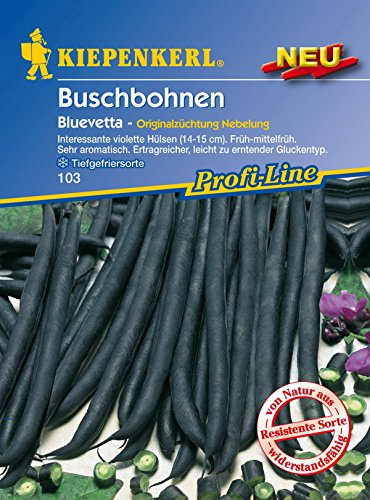 Kiepenkerl, Buschbohnen Bluevetta
