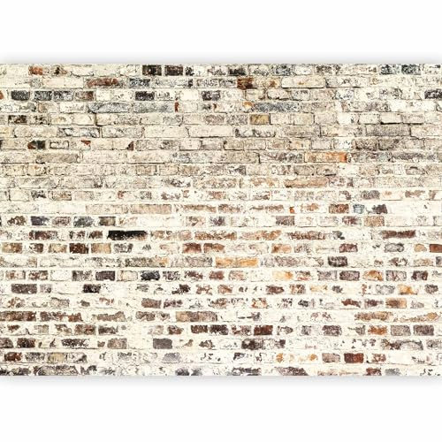 Fotomurales B&D XXL - 400x280 cm XXL Papel pintado tejido no tejido Decoración de Pared decorativos Murales moderna Diseno Fotográfico Ladrillo f-a-0411-a-d #03