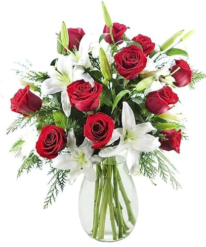 KaBloom - Radiance Bouquet of 8 White Oriental Lily 12 Red Rose With Green With Vase - Fresh Flowers for Birthday, Valentine's & Mother's Day