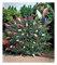 BALDUR Garten dreifarbiger Schmetterlingsstrauch 'Papillion Tricolor', 1 Pflanze, Buddleja davidii, Buddleia Schmetterlingsflieder, Sommerflieder, winterhart, trockenresistent, bienenfreundlich
