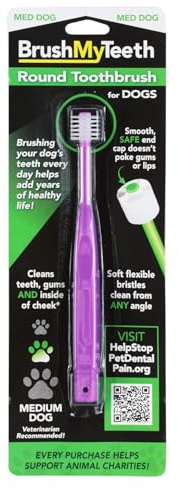 Brush My Teeth Medium Dog Toothbrush - Rounded Brush Head -Soft Flexible Bristles- for Safe and Gentle Brushing for Doggie, Any Medium Breed or Puppy, Daily Brushing Adds Years of Healthy Life