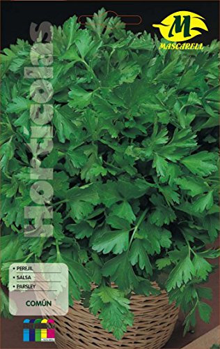 M MASCARELL SEMILLAS DESDE 1920