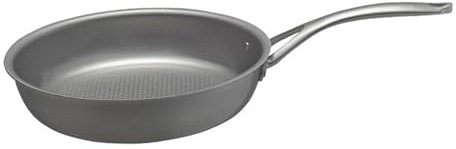 Poêle À Frire Hybride Antiadhésive, Poêle À Frire Infusée Au Titane 10,2 Pouces, Poignée Qui Reste Froide, Passe Au Lave-Vaisselle Et Au Four, Prête À Induction, Compatible Avec Toutes Les Tables De